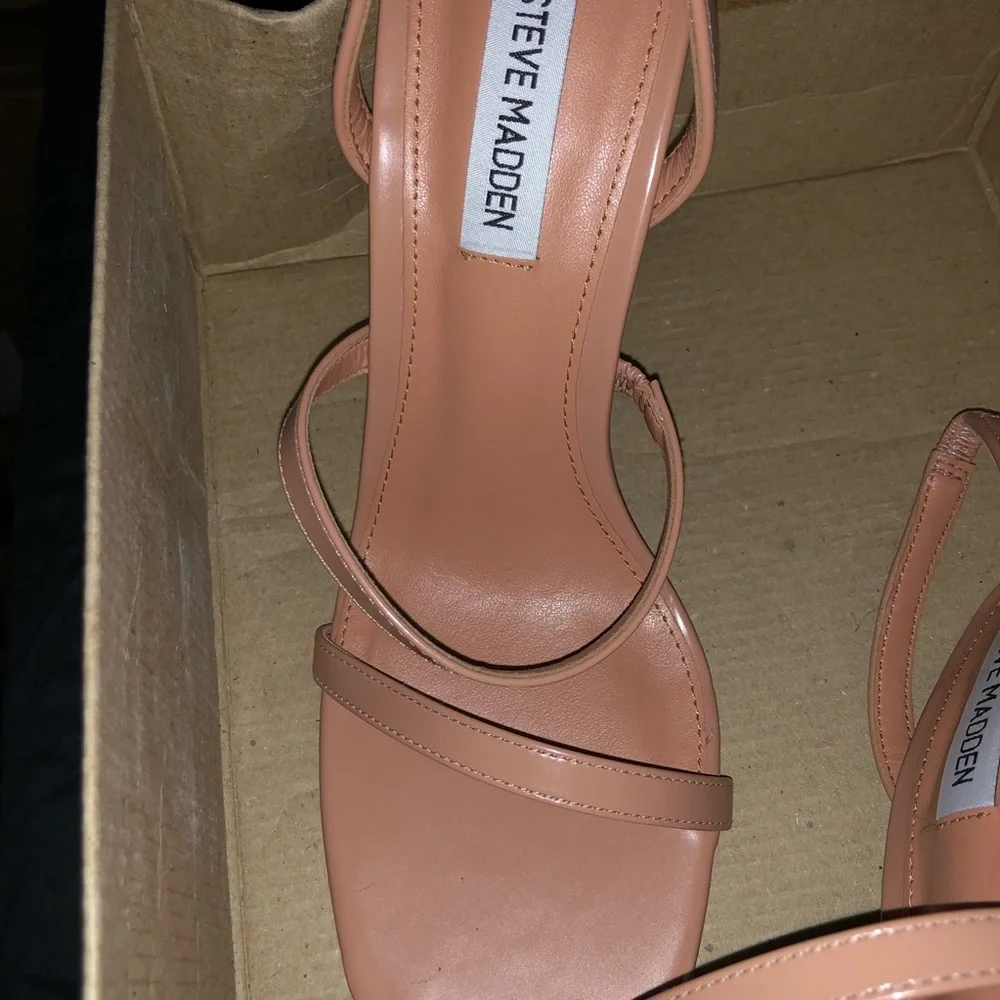 Steve Madden Grade in Dark Blush Patent - Picture 6 of 8